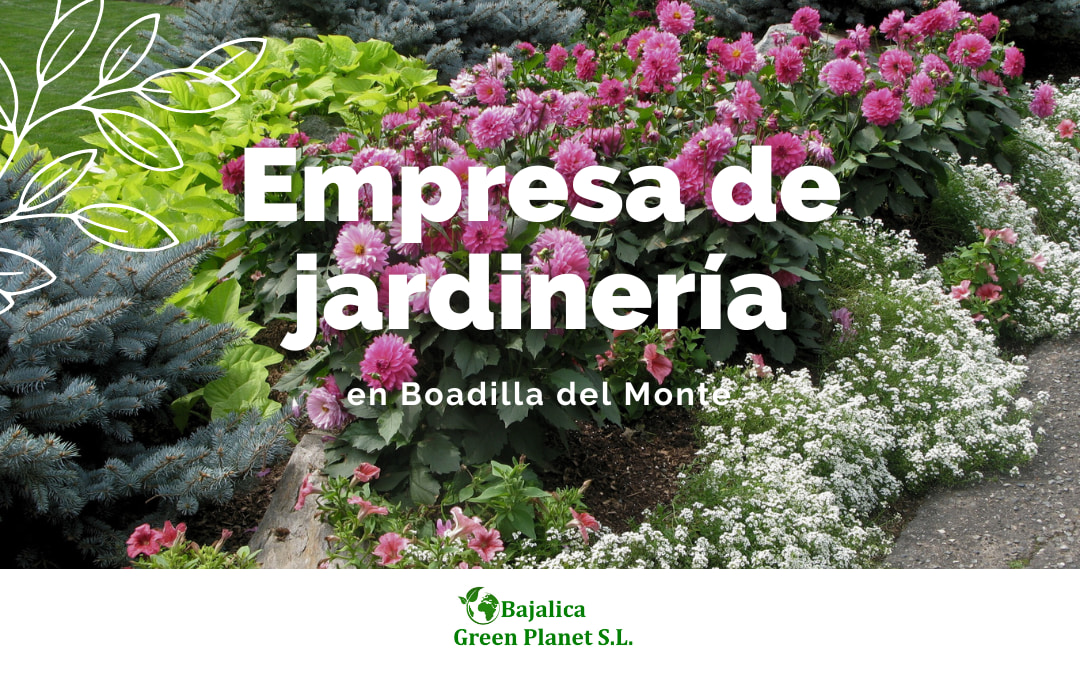 empresa-jardineria-boadilla-del-monte