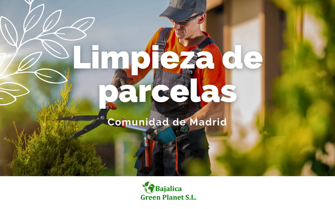 Limpieza de parcelas en Madrid
