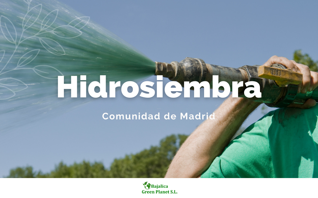 Hidrosiembra en Madrid: solución para la restauración de suelos