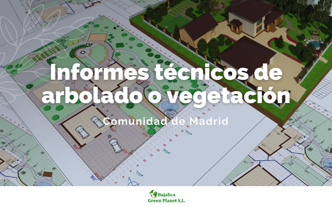 Informes técnicos de arbolado o vegetación