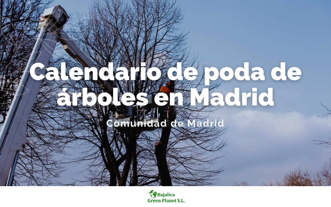 calendario-de-poda-arboles-madrid