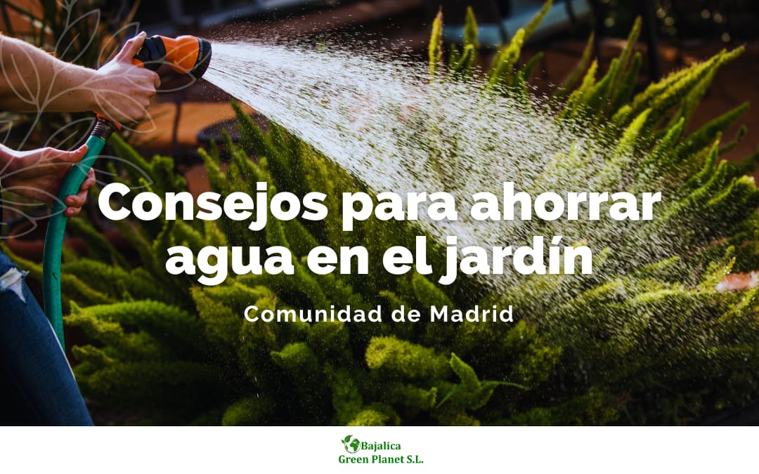 como-ahorrar-agua-en-el-jardin-madrid