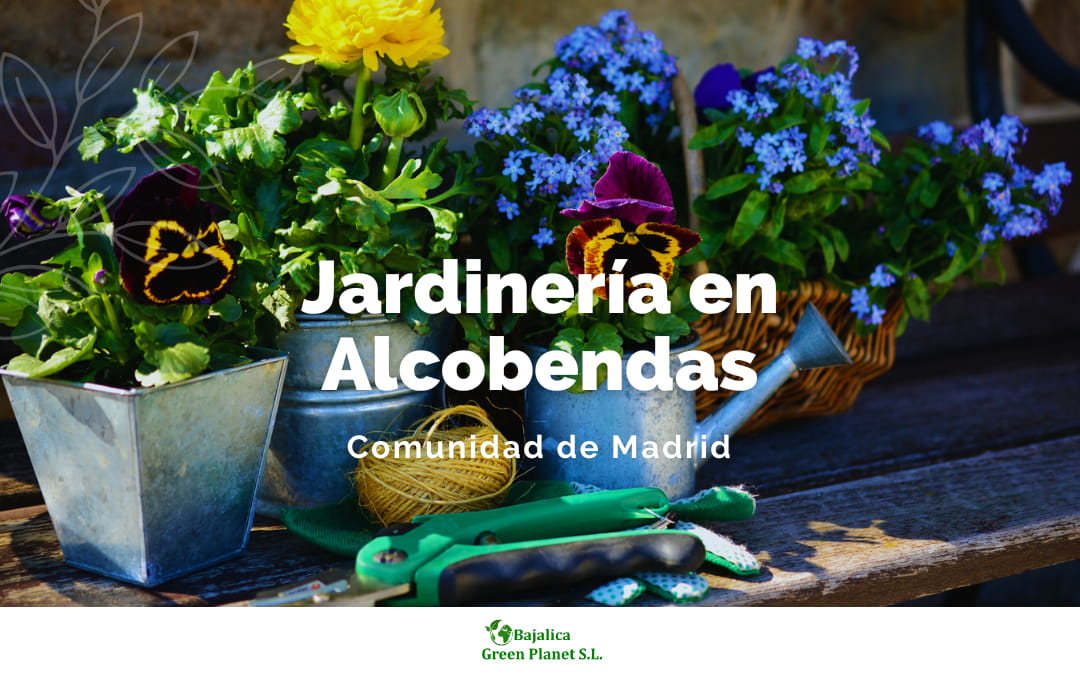 jadineria-alcobendas