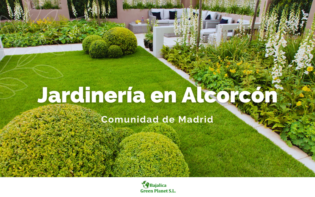 jardineria-en-alcorcon