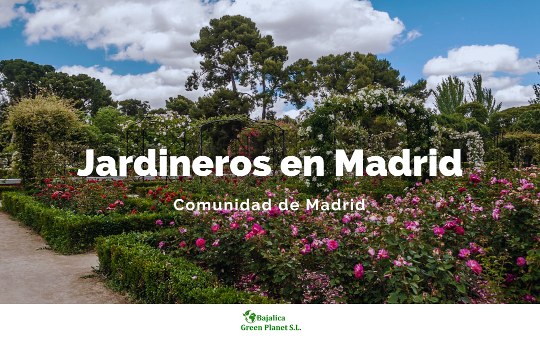 jardineros-en-madrid